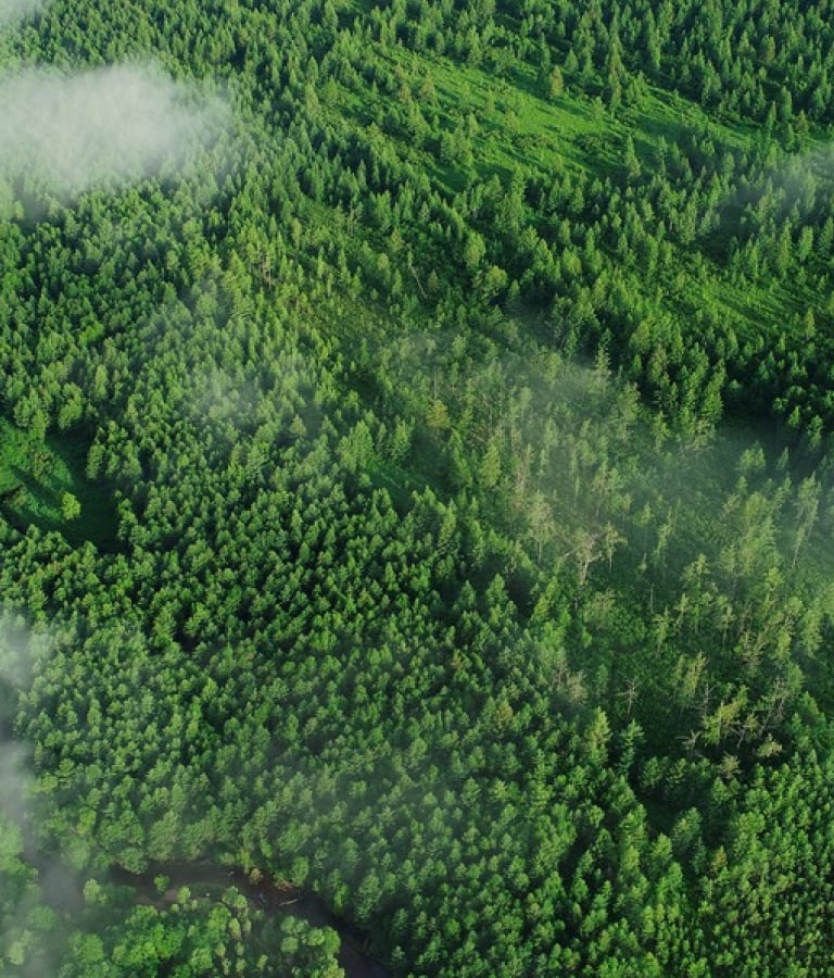 k1���� - ʮ��Ʒ�� ֵ������